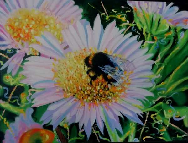 painting, Bumble Bee 4, oils, 24 x 18 inches