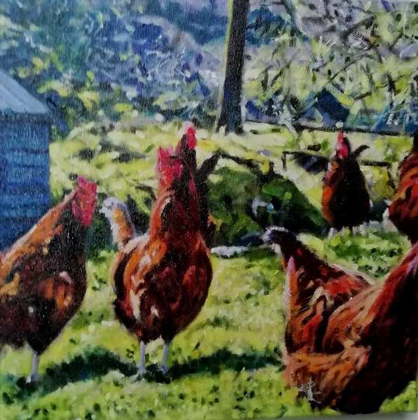 painting, Chickens 1, oils, 12 x 12 inches