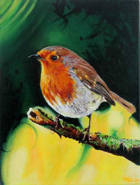 painting, Robin, oils, 16 x 12 ins