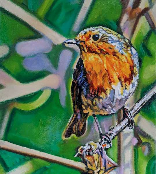 painting, Robin, oils, 14 x 12 inches