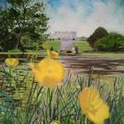 A View Through Buttercups,Powerscourt A View Through Buttercups,Powerscourt