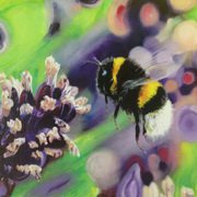 Bumble Bee 5 Bumble Bee 5
