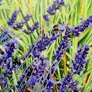 Bumble Bee Bumble Bee