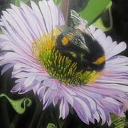 Bumblebee no. 3 Bumblebee no. 3