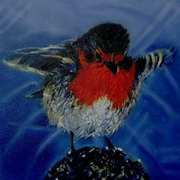 Christmas Robin Christmas Robin