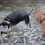 Dogs in the River Walk Dogs in the River Walk