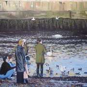 Feeding the Ducks Bray Harbour Feeding the Ducks Bray Harbour