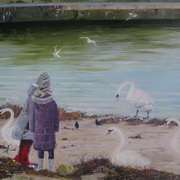 Feeding the Swans Bray Harbour Feeding the Swans Bray Harbour