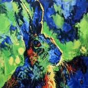 Hare Hare