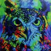 Night Owl Night Owl