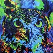 Night Owl Night Owl