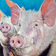 Oink Oink