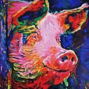 Pig In Colour Pig In Colour