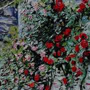 Powerscourt Climbing Rose 1 Powerscourt Climbing Rose 1