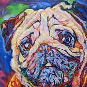 Pug Pug