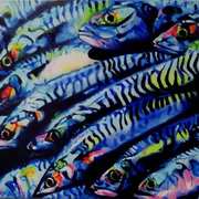 Rainbow Fish Rainbow Fish