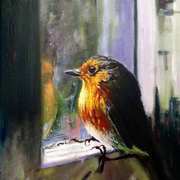Robin 3 Robin 3