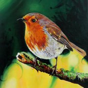 Robin Robin