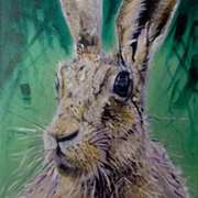 The Hare The Hare