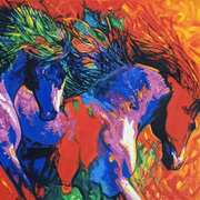 Wild Horses Wild Horses