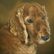 Doogle's Portrait