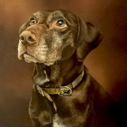 Evey's Portrait