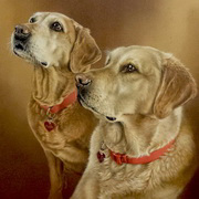 Two labs