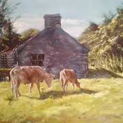 Stone Shed and Cattle Stone Shed and Cattle
