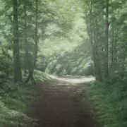 Quiet walks