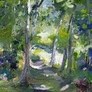 Light in Glenary Woods