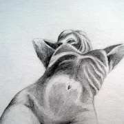 Study 11 Study 11