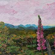 Irish art | Stately Foxglove by Sheila Comerford | Irish artist