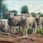 A Captive Audience,Sheep Painting