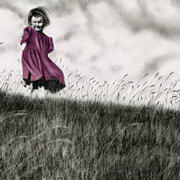 Field Field