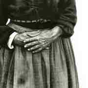 Matriarch Matriarch