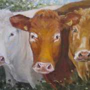 Moo