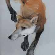 FOXY III