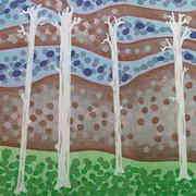 Fourteen Angry Trees Fourteen Angry Trees