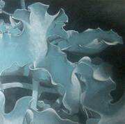 Cotyledon leaves on blue paper Cotyledon leaves on blue paper