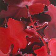 Red Cotyledon leaves Red Cotyledon leaves