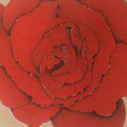 Red rose Red rose